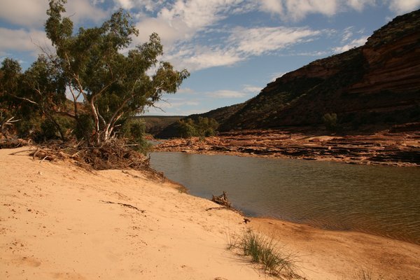 Along the banks of the Murchison River