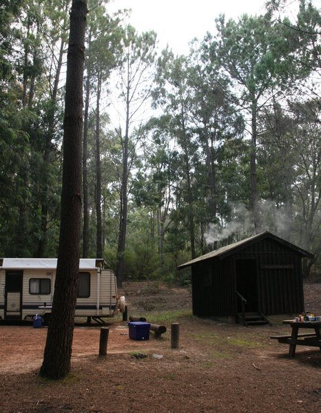 Our awesome bush camp amongst the tall trees