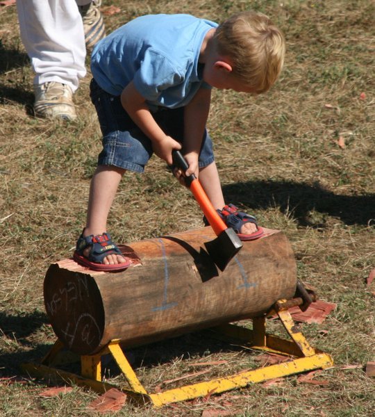 The wood chopping competition seemed to be starting at a young age