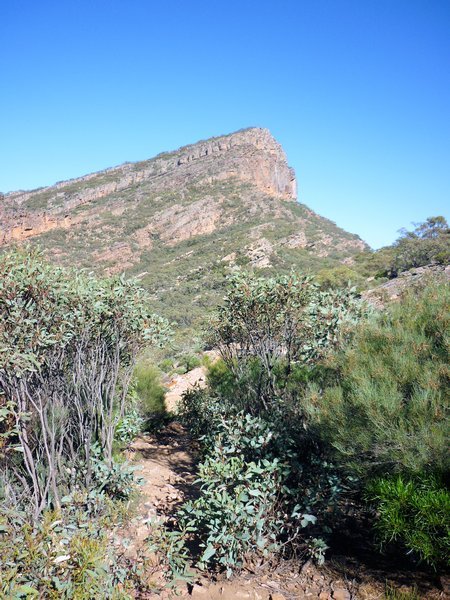 St Mary Peak, from the top of Tanderra Saddle with 1.6km left to get to the top!  Hmmmm, really!