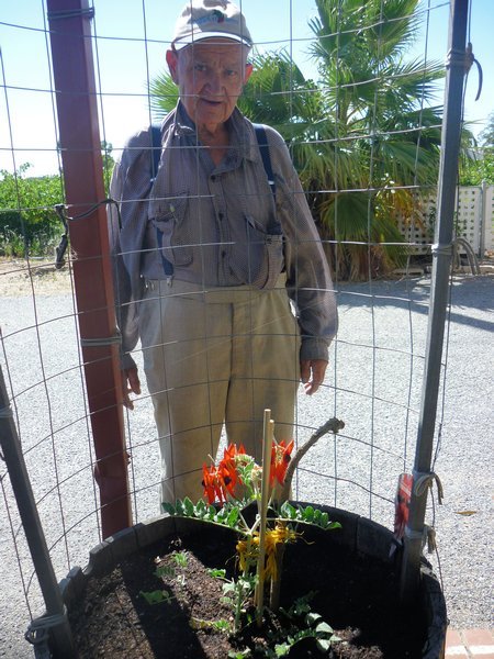 Frank and his Desert Peas