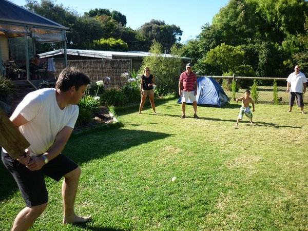 Backyard cricket