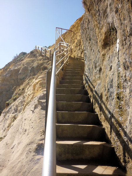 Looking up at Gibson Steps