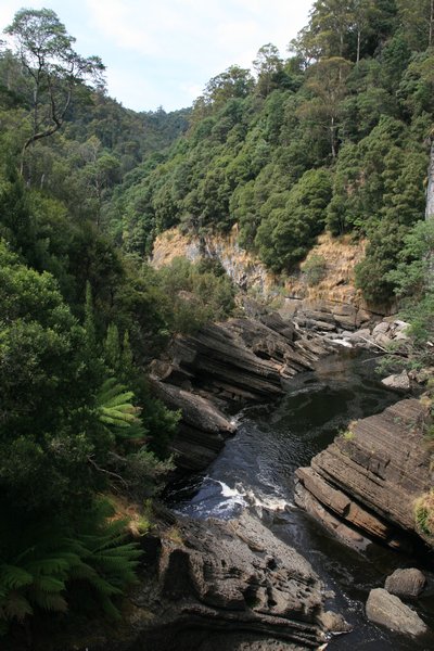 From the bridge down in Leven Canyon