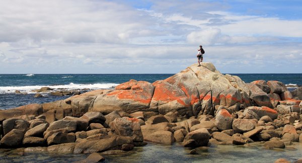 Looking out to sea at the Bay of Fires