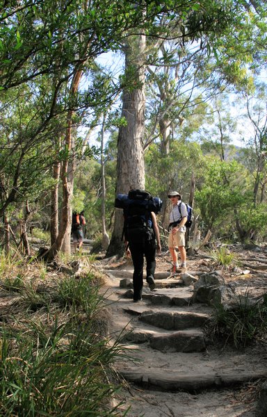 Doing the walk up from Wineglass Bay with HUGE backpacks - rather them than us!