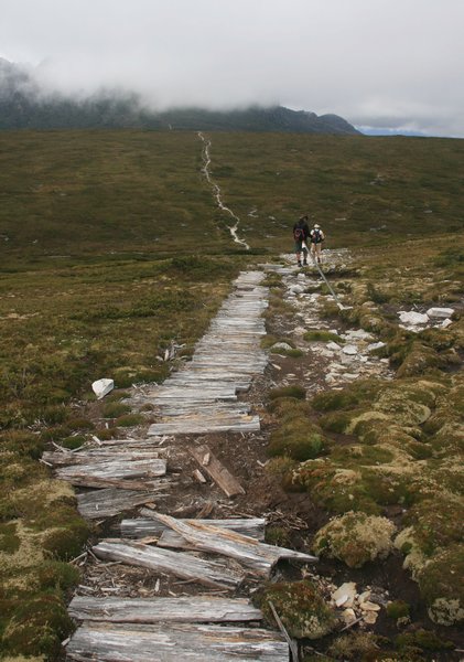 The Overland Track towards Cradle Mountain