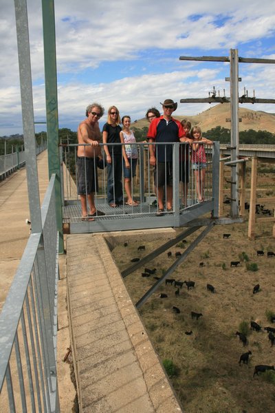 Up on Bonnie Doon bridge with the cows down below