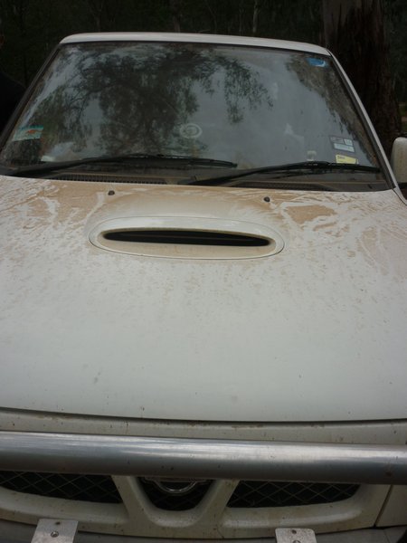 Should have waited to wash the car!