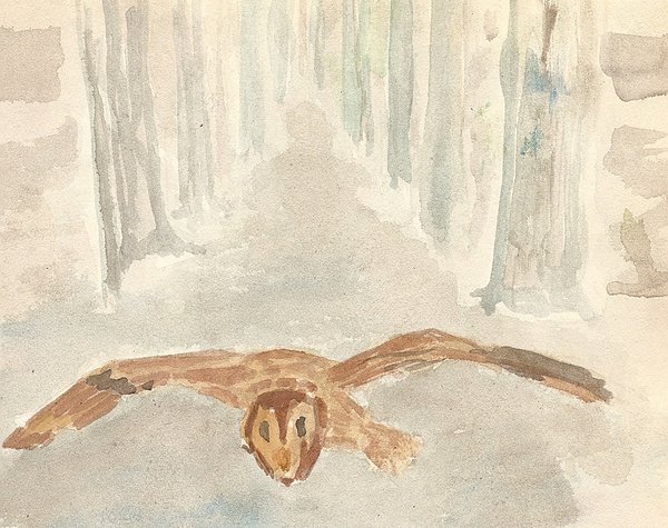 Owl on the hunt