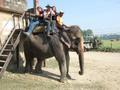 Mounting block, Chitwan