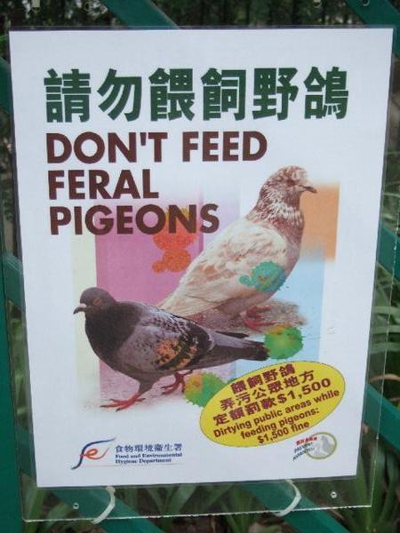 Poster 3, HK