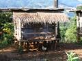 Hill Tribe Home