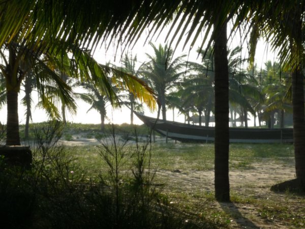 Beach through the trees