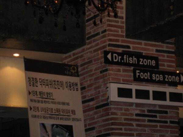 Dr Fish Cafe..