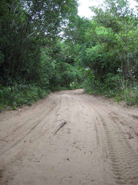 The roads to Bangha Nek