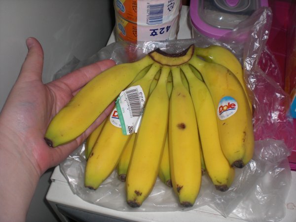 Holding the Mini Banana