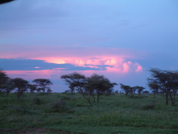 Beautiful Sunset in Serengeti