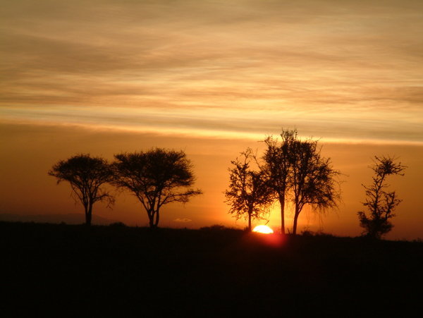 Another Beautiful sunrise - Serengeti