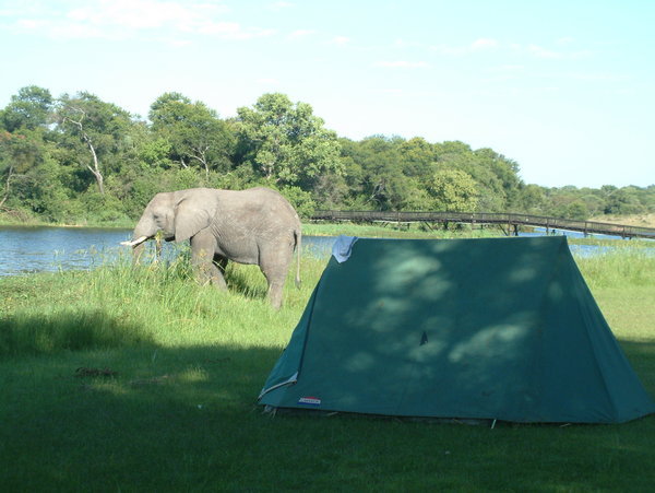 Ellie next to our tents at Antelope Park!