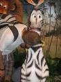 James and zebra