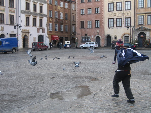 Mim chasing pigeons