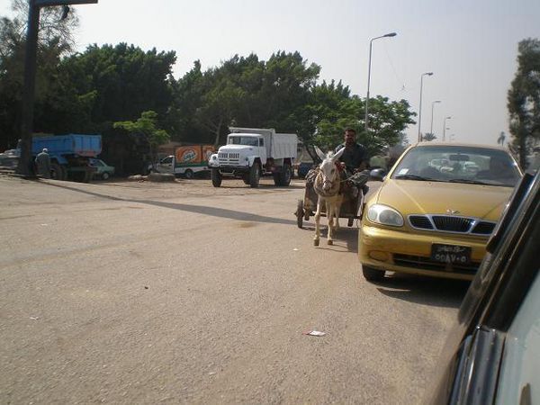 randomness of a donkey cart