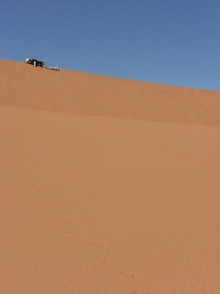 Mark found climbing sand dunes hard work...