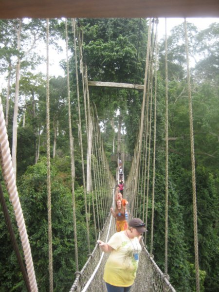 view of canopy walk