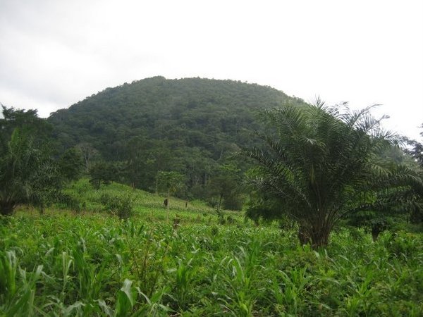 Mount Afadjato