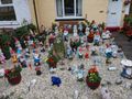 a gnome filled yard