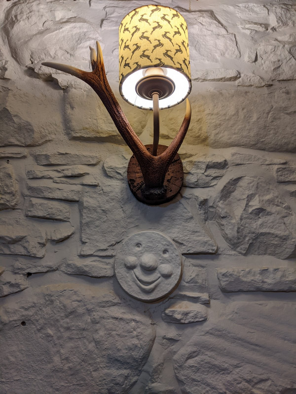 antler lamp and wall ornament