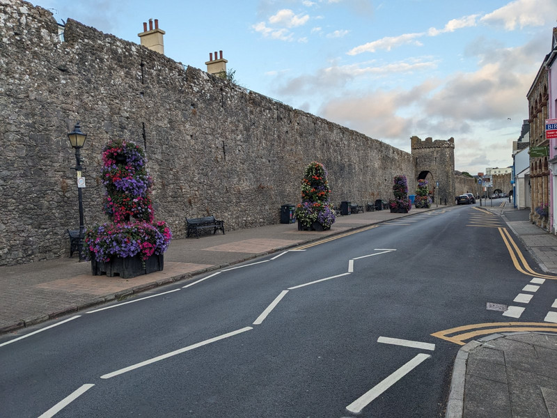 Tenby castle wall with flowers 