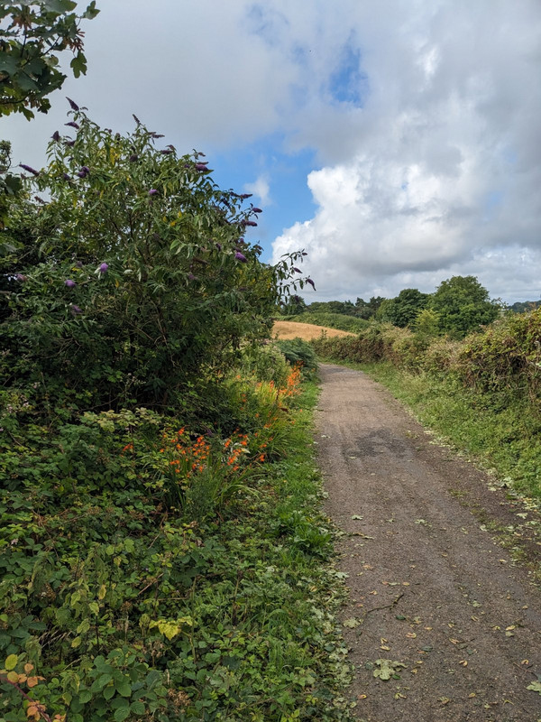 Typical Path along a field