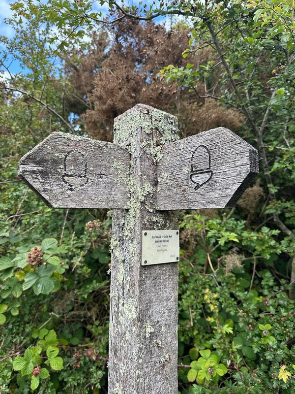The weathering sign post