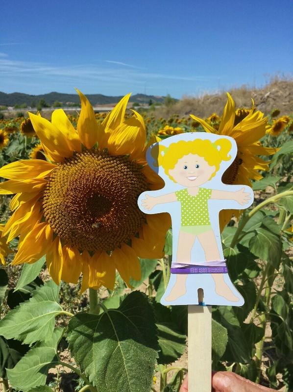 Blonde and the sunflowers