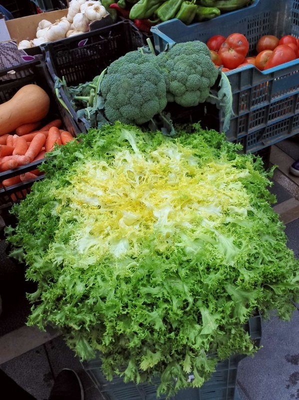 Large unique head of lettuce