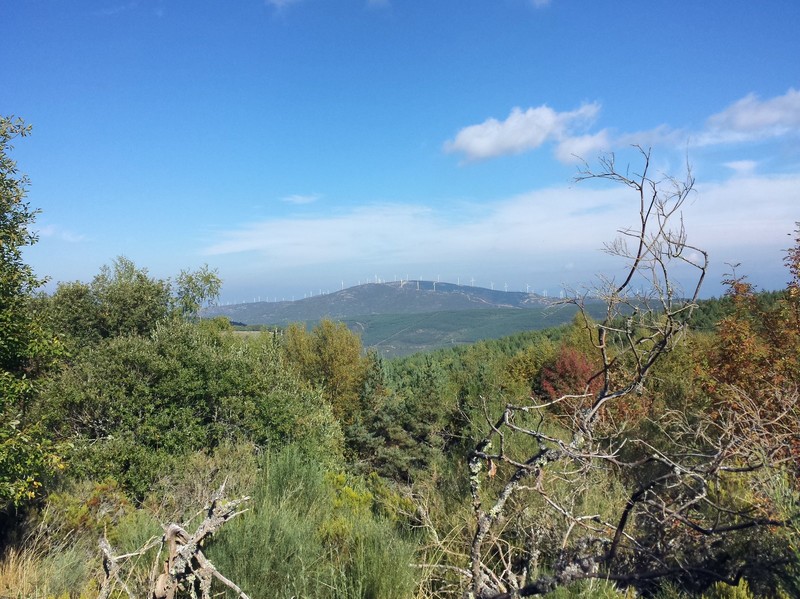 The view from the high point of the Camino