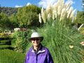 Karen with grasses and flowers in the garden
