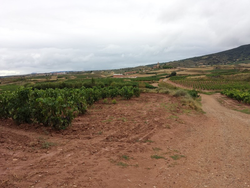 Typical path through the vineyards of La Rioja