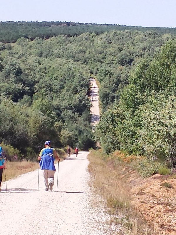 A long straight path down and across the Arroyo Peroja