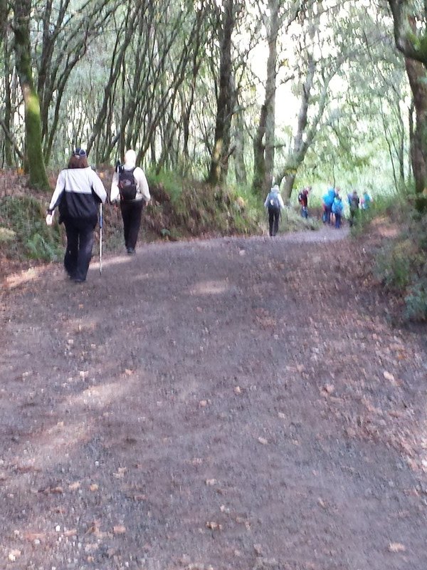 Pilgrims on the path ahead with leaves starting to fall