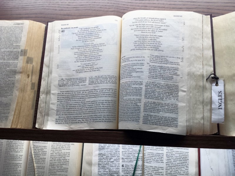 Some of the many bible translations on display