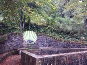 Shell fountain in the forest