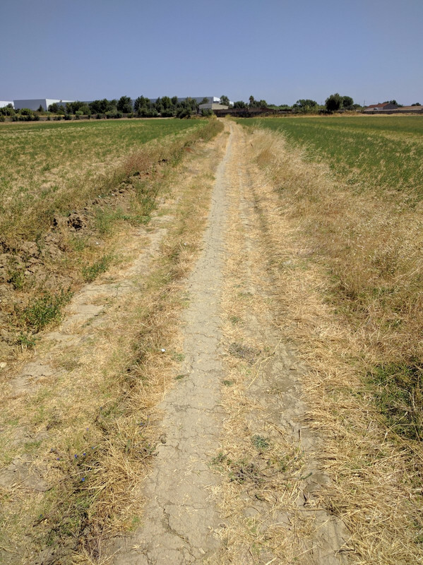 Path through farmland