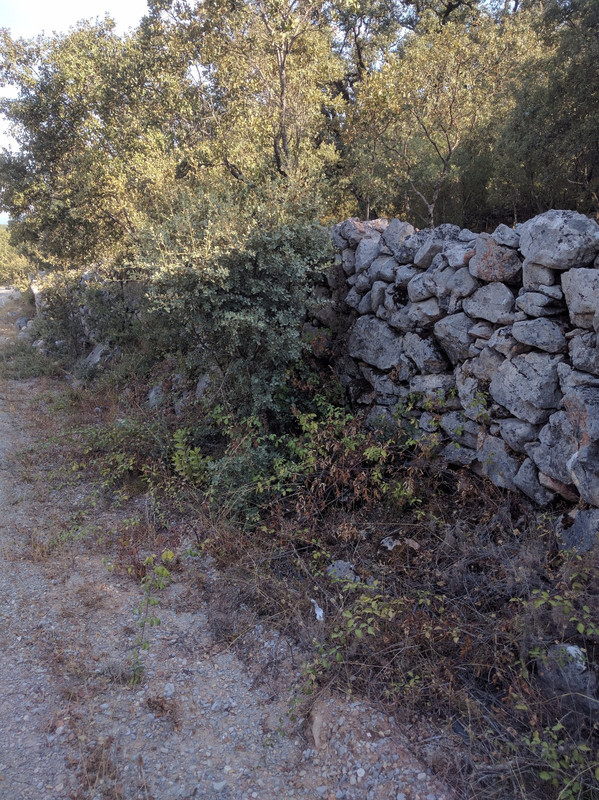 Dry rock wall as we continue mid morning route