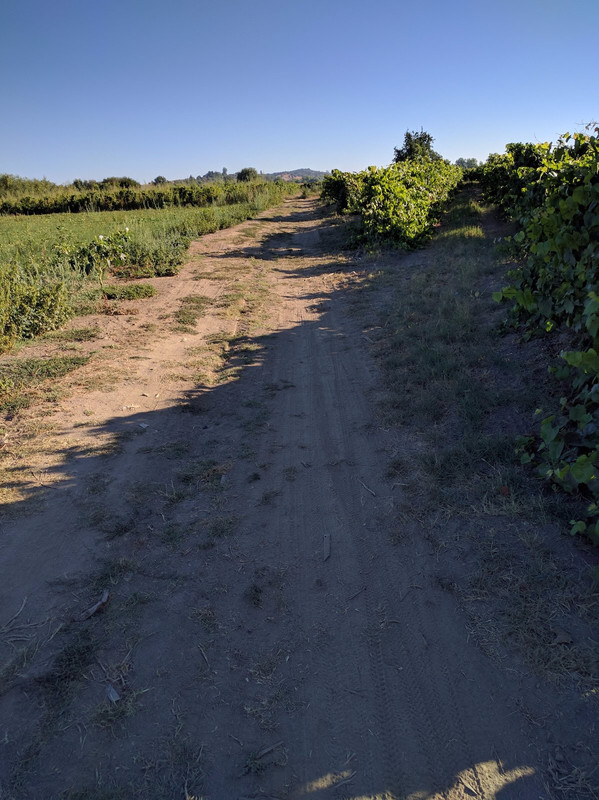 Path through farm fields