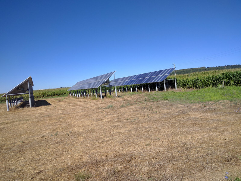Solar and corn farms