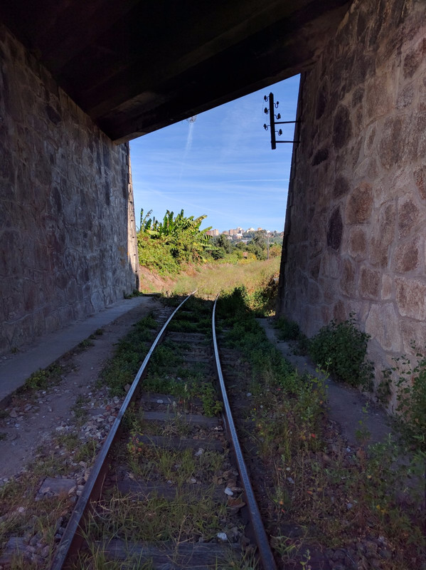 Camino shares railroad tunnel