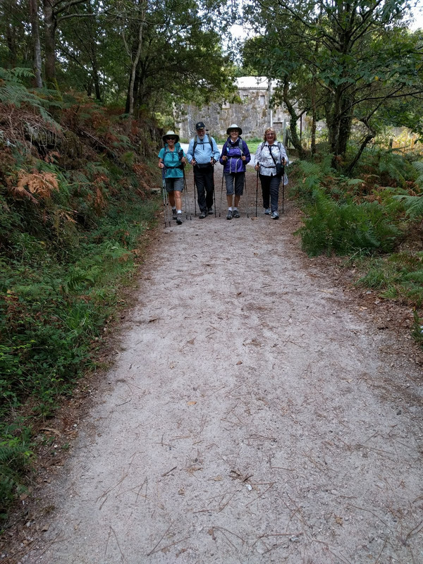 Four abreast along the camino